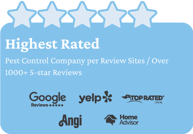Highest Rated Pest Contol